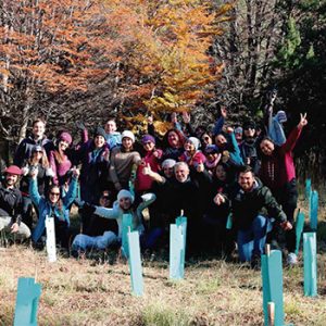 2017-10 Ficha Técnica Voluntariado Futurismo Aysén, Reserva