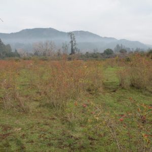 dscn9132